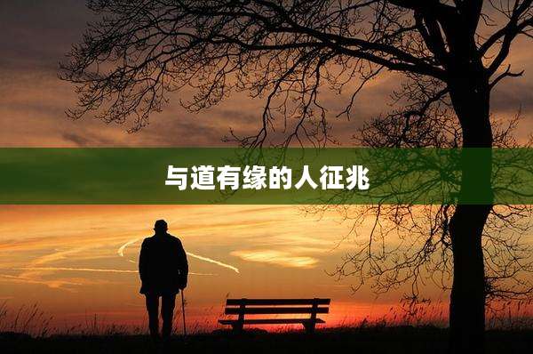与道有缘的人征兆