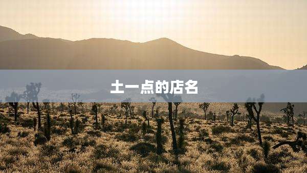 土一点的店名