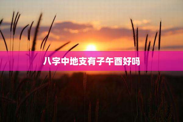 八字中地支有子午酉好吗