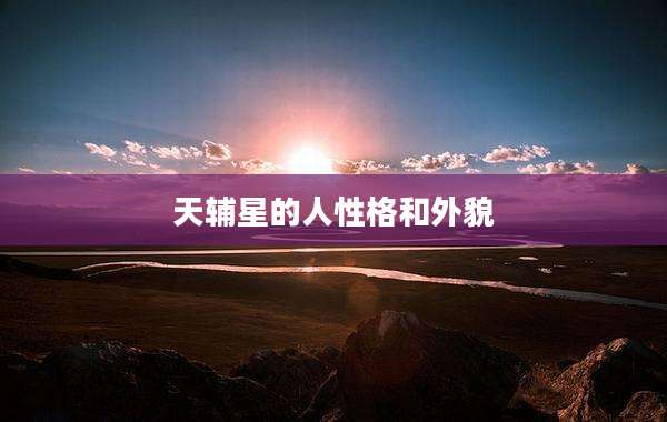 天辅星的人性格和外貌