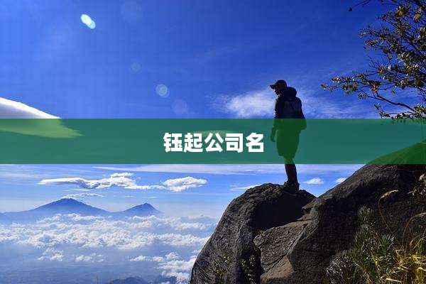 钰起公司名