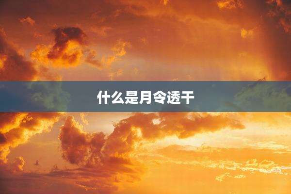 什么是月令透干