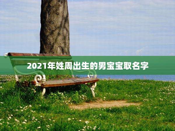 2021年姓周出生的男宝宝取名字