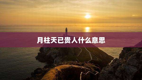 月柱天已贵人什么意思