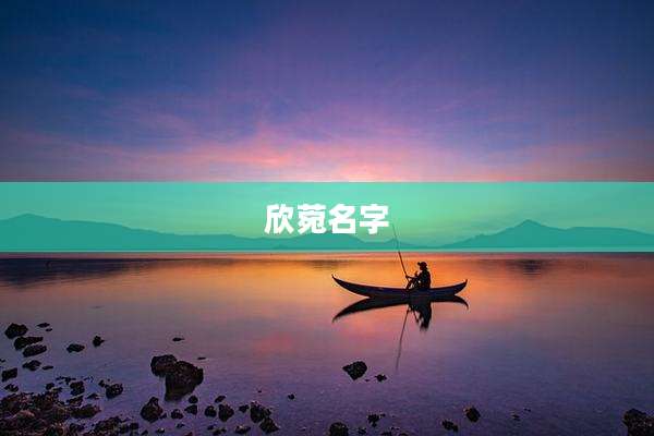 欣菀名字