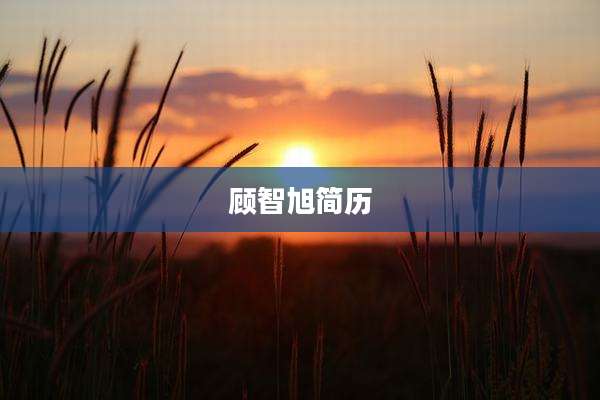 顾智旭简历