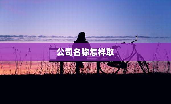 公司名称怎样取