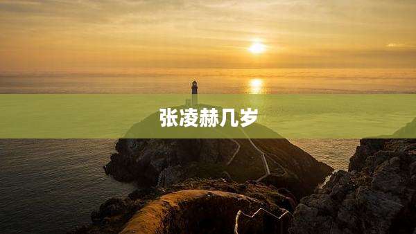 张凌赫几岁