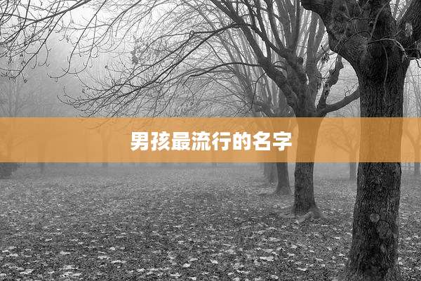男孩最流行的名字
