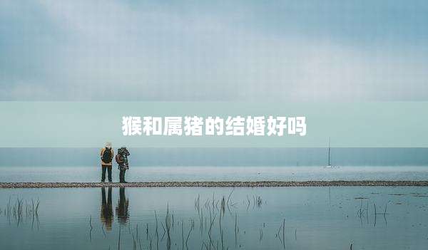 猴和属猪的结婚好吗