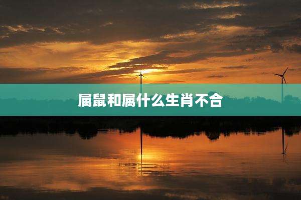 属鼠和属什么生肖不合