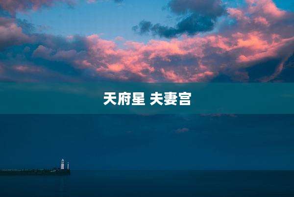 天府星 夫妻宫