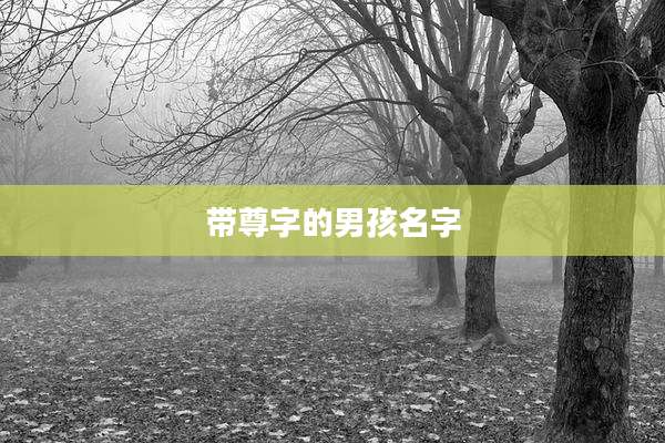 带尊字的男孩名字