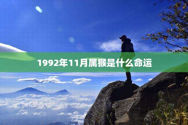 1992年11月属猴是什么命运