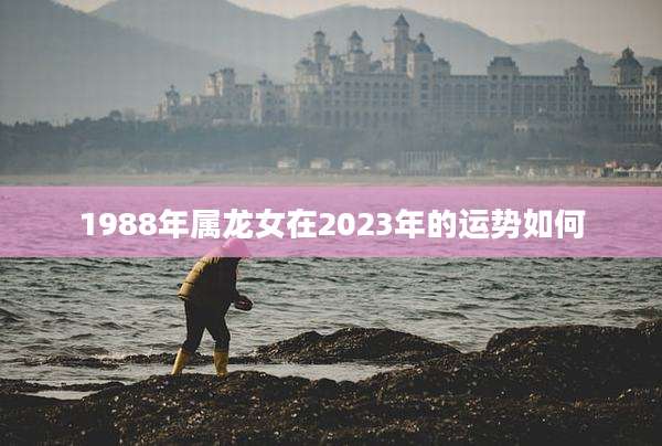 1988年属龙女在2023年的运势如何