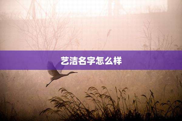 艺洁名字怎么样
