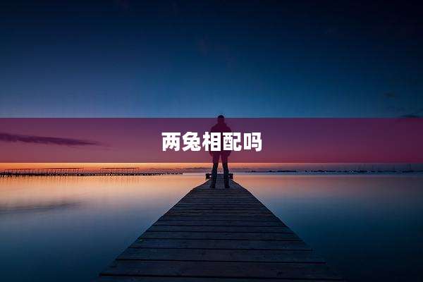 两兔相配吗