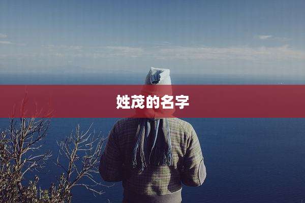 姓茂的名字