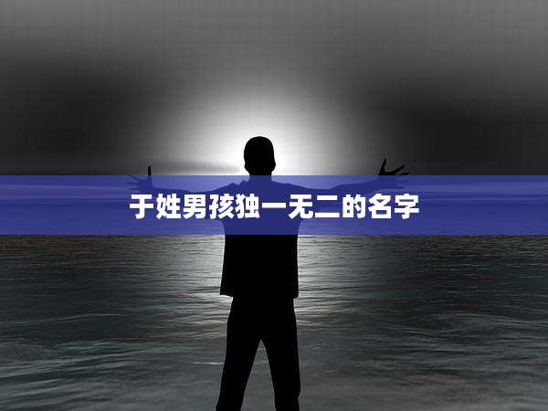 于姓男孩独一无二的名字