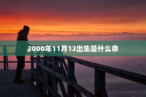 2000年11月12出生是什么命