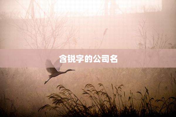 含锐字的公司名