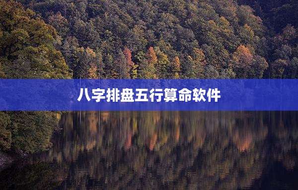 八字排盘五行算命软件