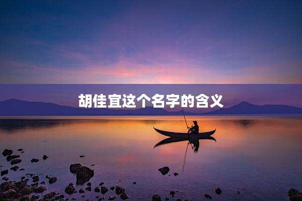 胡佳宜这个名字的含义