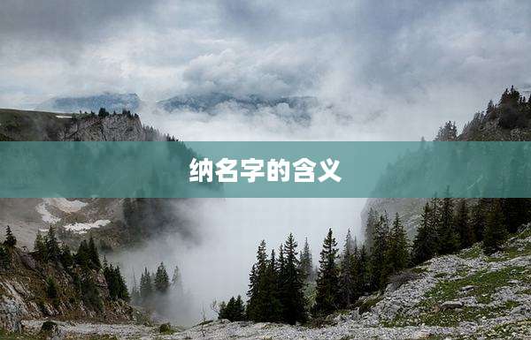 纳名字的含义