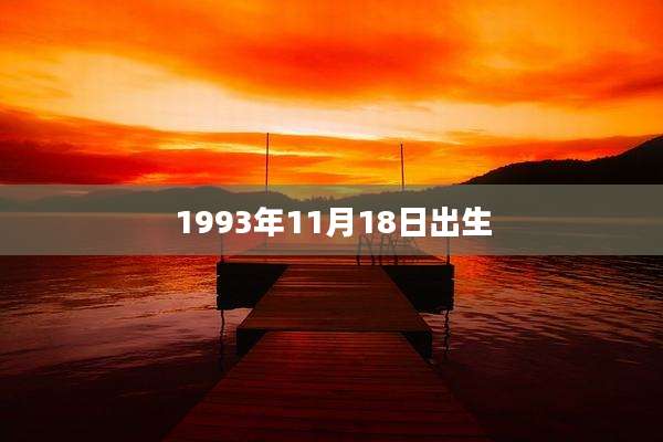 1993年11月18日出生
