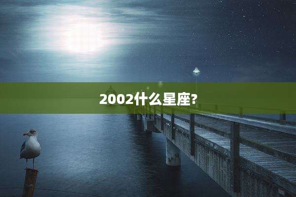 2002什么星座?