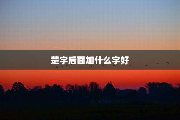 楚字后面加什么字好