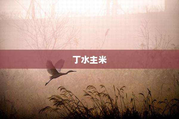 丁水主米