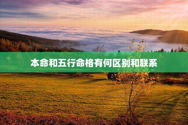 本命和五行命格有何区别和联系