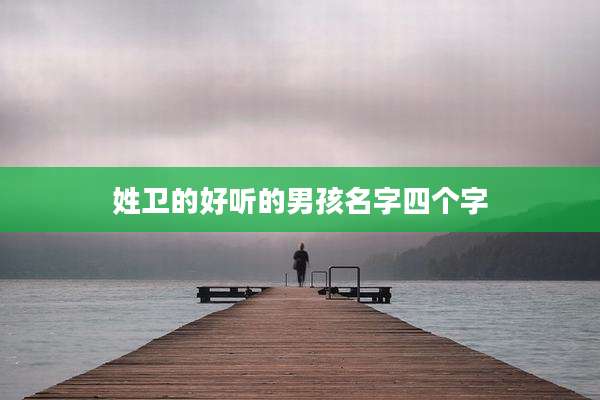 姓卫的好听的男孩名字四个字