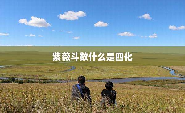 紫薇斗数什么是四化