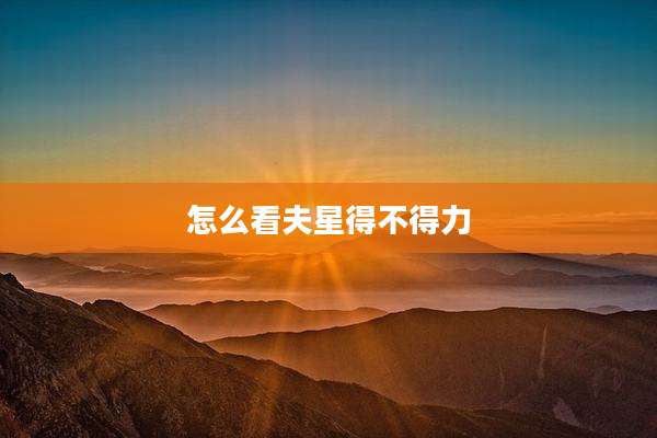怎么看夫星得不得力