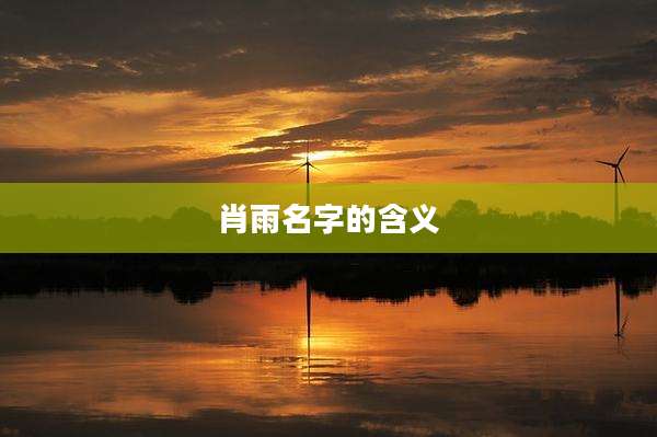 肖雨名字的含义