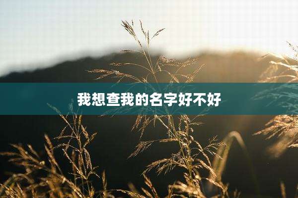 我想查我的名字好不好