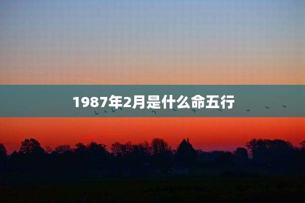 1987年2月是什么命五行