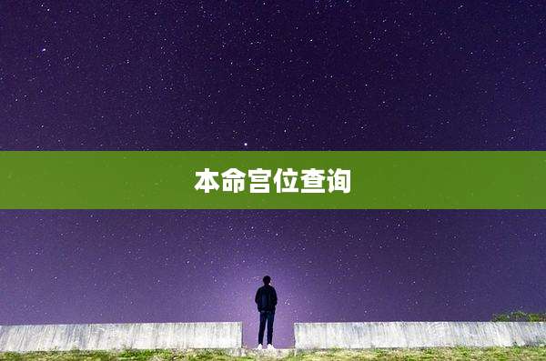 本命宫位查询