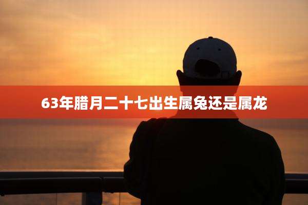 63年腊月二十七出生属兔还是属龙