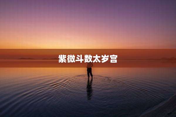 紫微斗数太岁宫