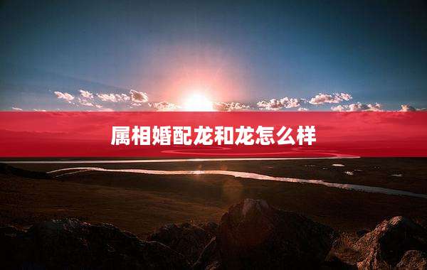 属相婚配龙和龙怎么样