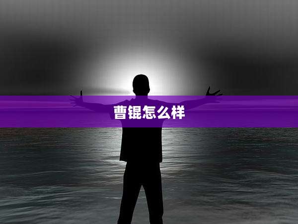 曹锟怎么样