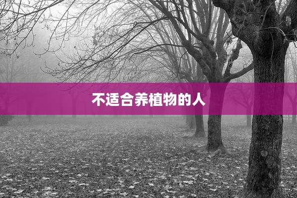 不适合养植物的人