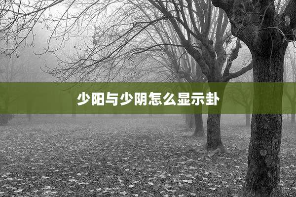 少阳与少阴怎么显示卦