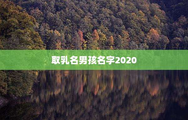 取乳名男孩名字2020
