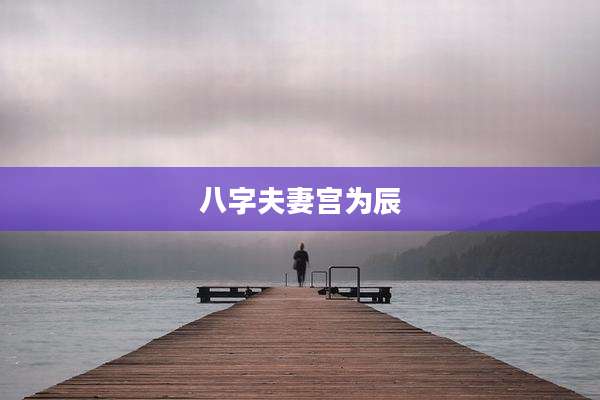 八字夫妻宫为辰