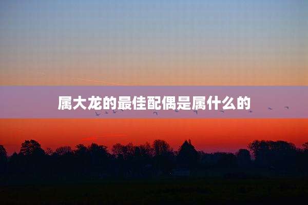 属大龙的最佳配偶是属什么的