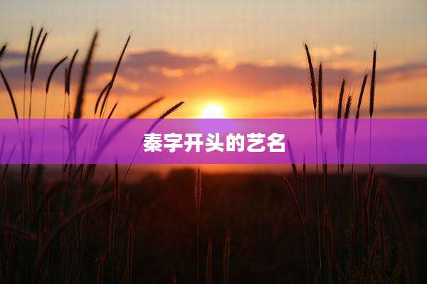 秦字开头的艺名